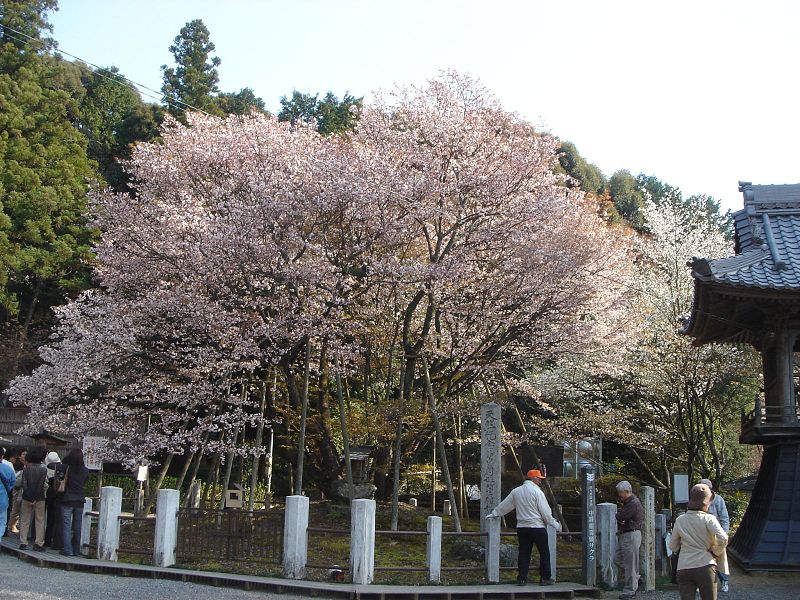 日本药企收购百年中药企业,日本收购中国百年中药企业现状