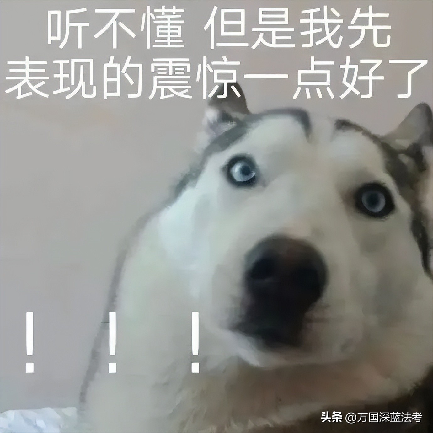 客观题考试开始报名,客观题考试注意事项