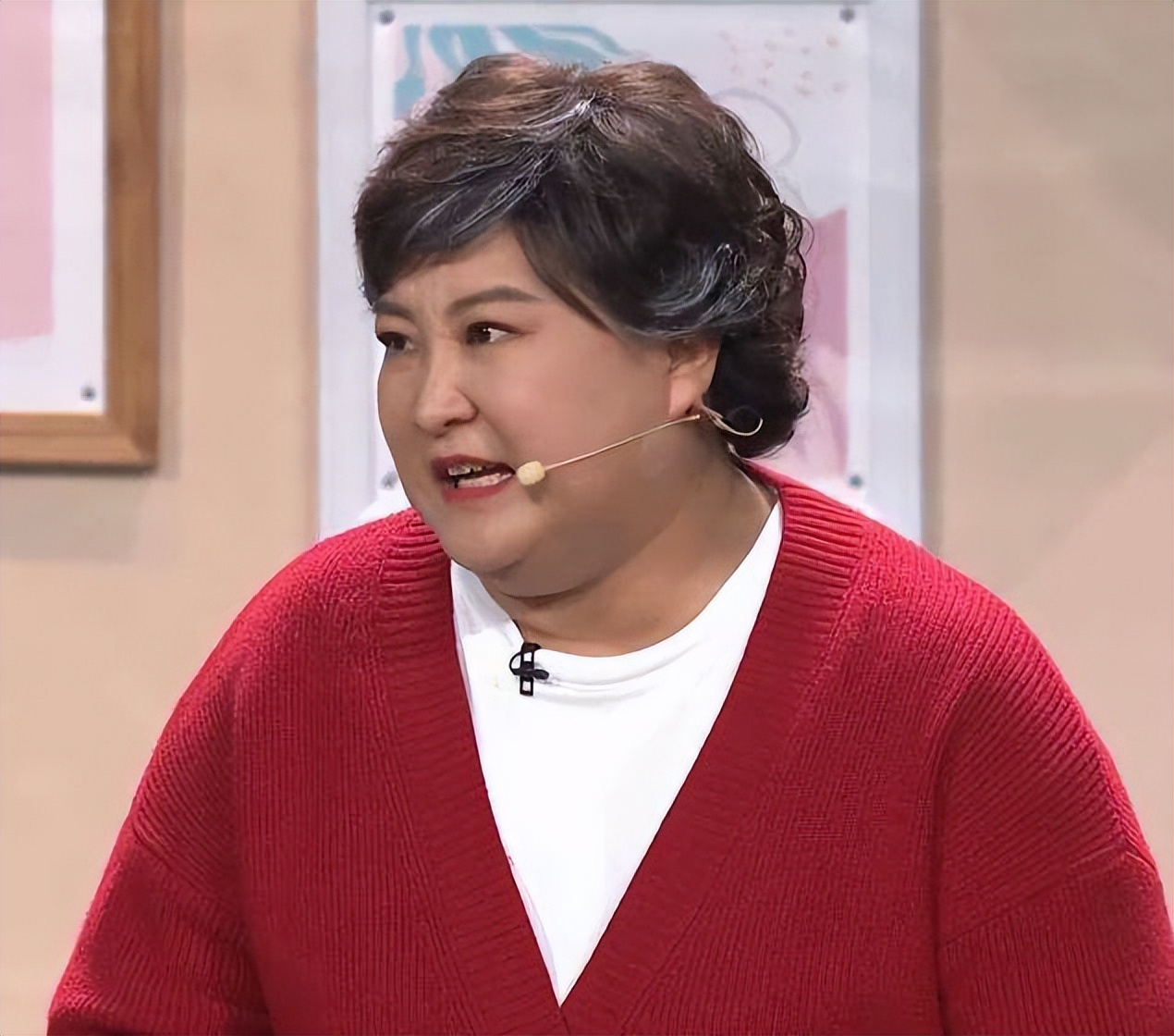 李冰冰姐妹花在娱乐圈打拼靠什么,李冰冰有多少财富