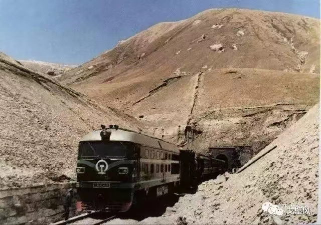 无言的战友（一）作者/齐石