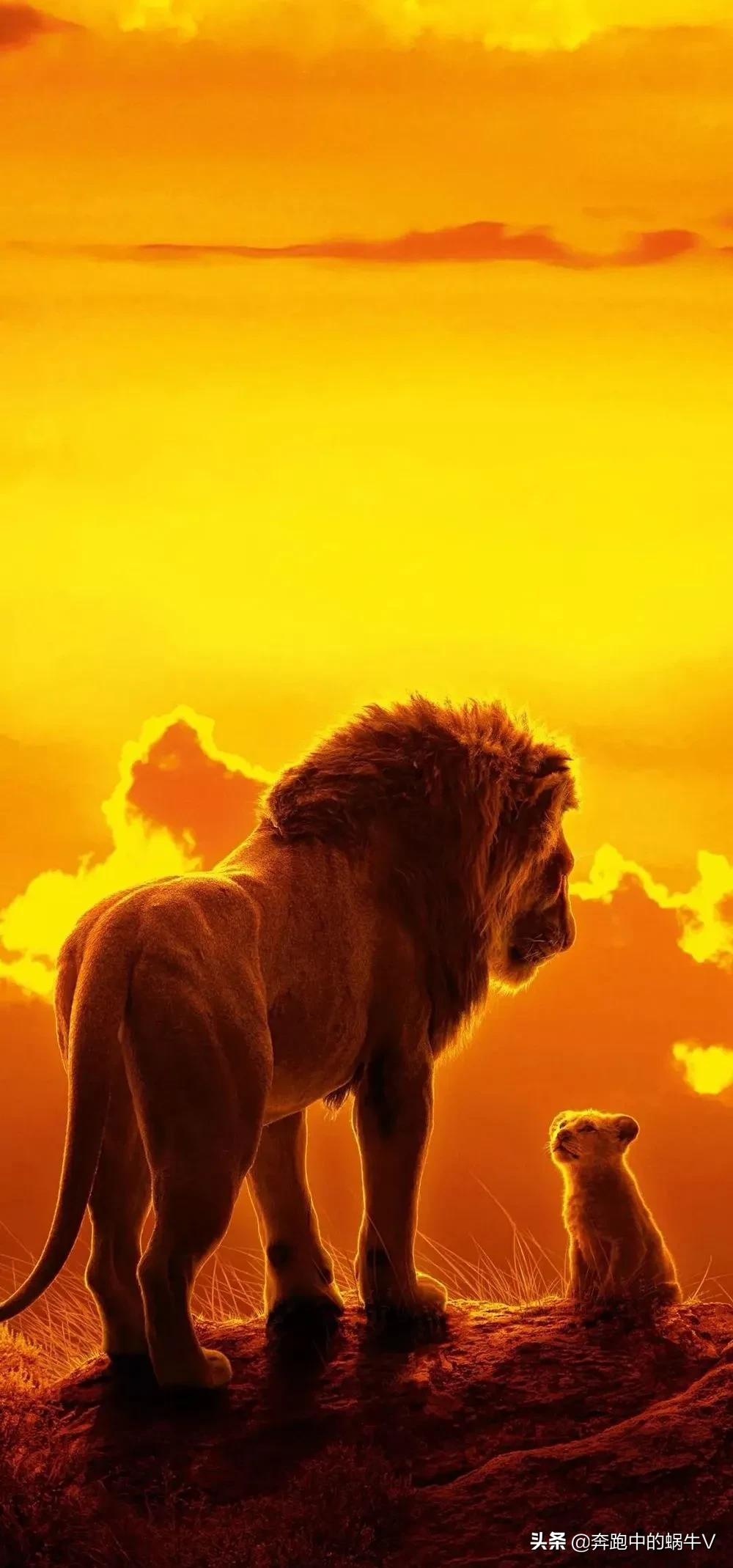 十大外国动画片排行榜,最具影响力的十大动画片