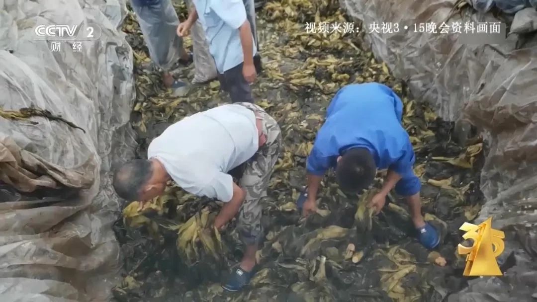 土坑酸菜被曝光,土坑老坛酸菜被曝光