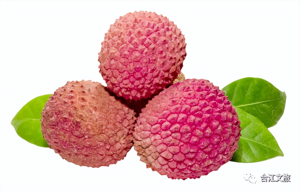 合江古镇荔枝节,合江荔枝节安排