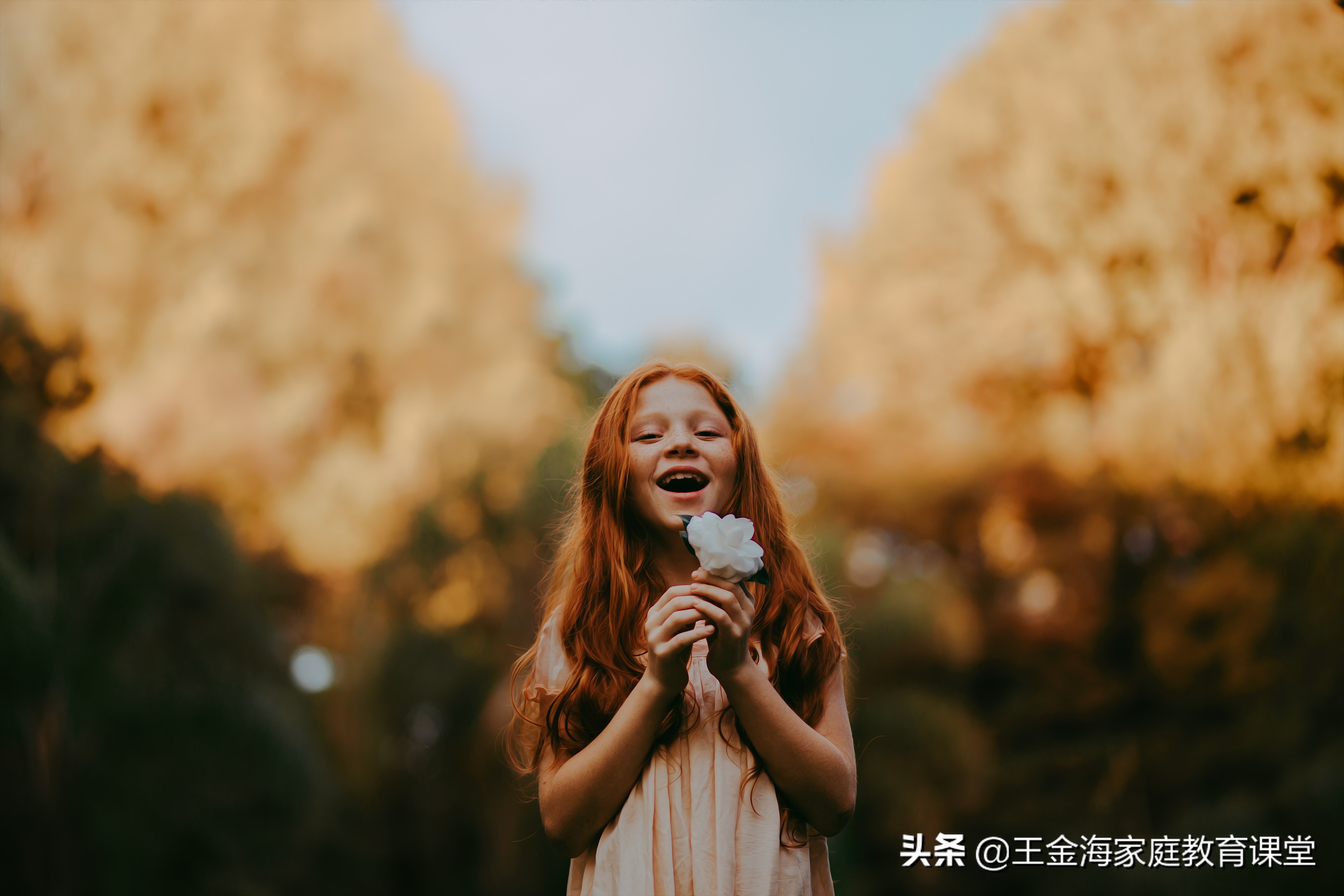 王金海教育孩子经典语录,王金海聊青少年教育