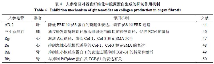 人参皂苷抗器官纤维化