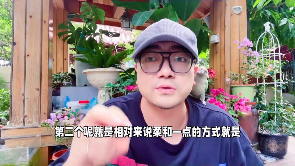 牡丹鹦鹉记仇的表现,鹦鹉记仇的表现