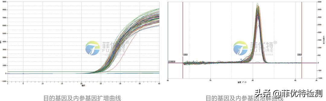 实时荧光定量pcr技术操作步骤,实时荧光定量pcr和高敏定量的区别