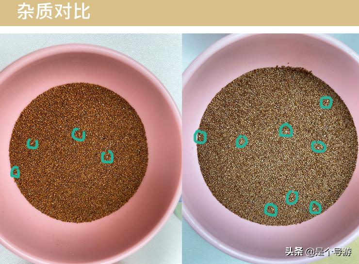 海藻面膜颗粒是海里生长的吗,海藻面膜是大海藻还是小海藻