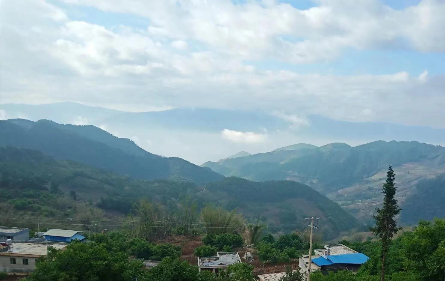 云南临沧双江最大茶厂,双江红军茶厂普洱茶怎么样