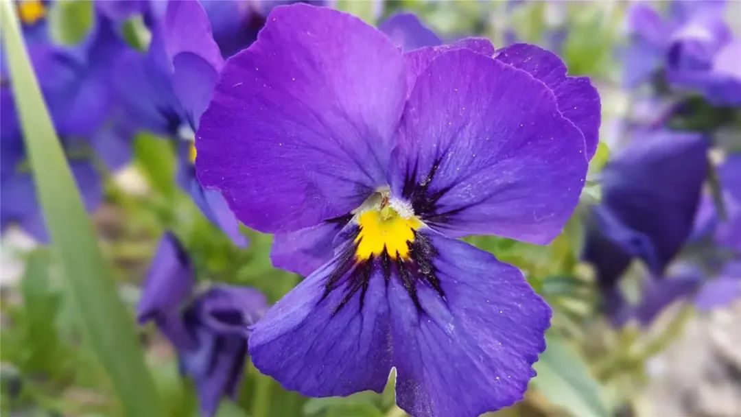 让人清醒的现实句子句句精辟,告诫自己的经典语录短句