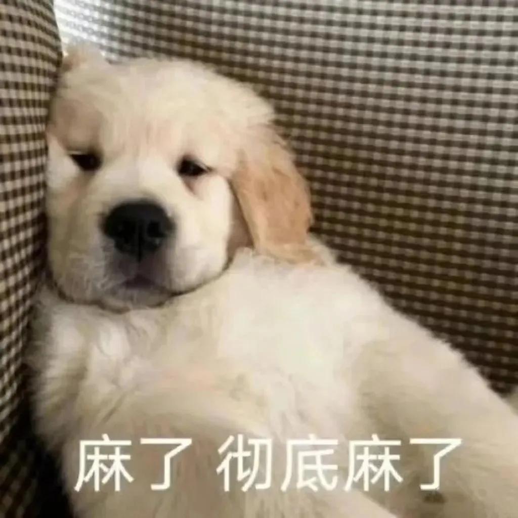 优微推荐|感到焦虑、疲倦?快停止你的精神内耗