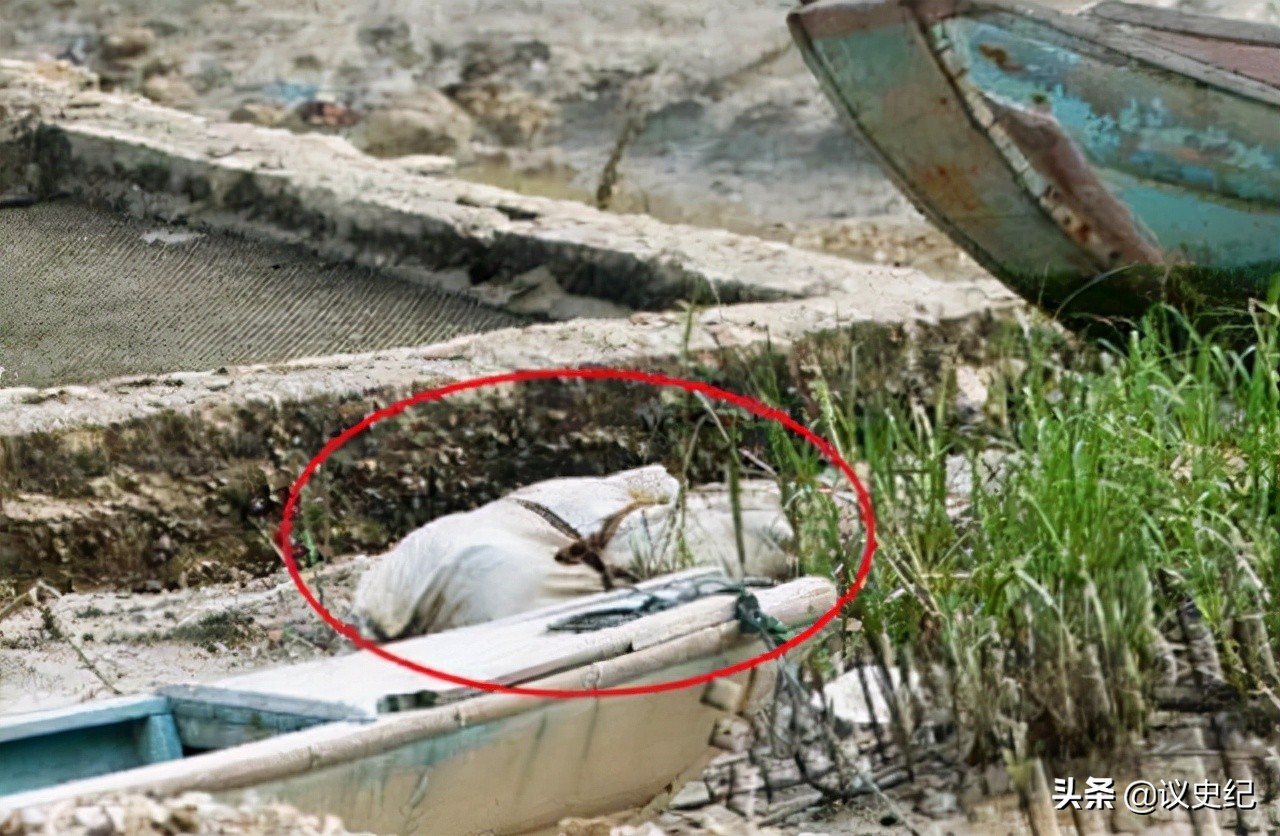 1955年，东莞一老农送菜路上捡了一袋“冬瓜”，竟牵出香港富商案