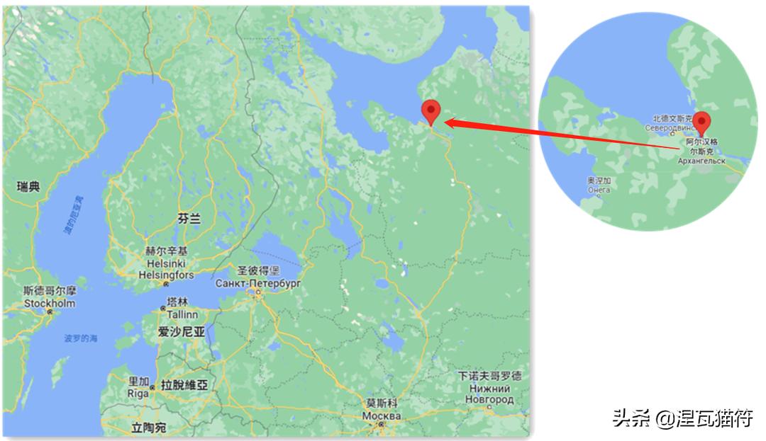 俄罗斯蓝猫法国蓝猫英国蓝猫,欧系俄罗斯蓝猫