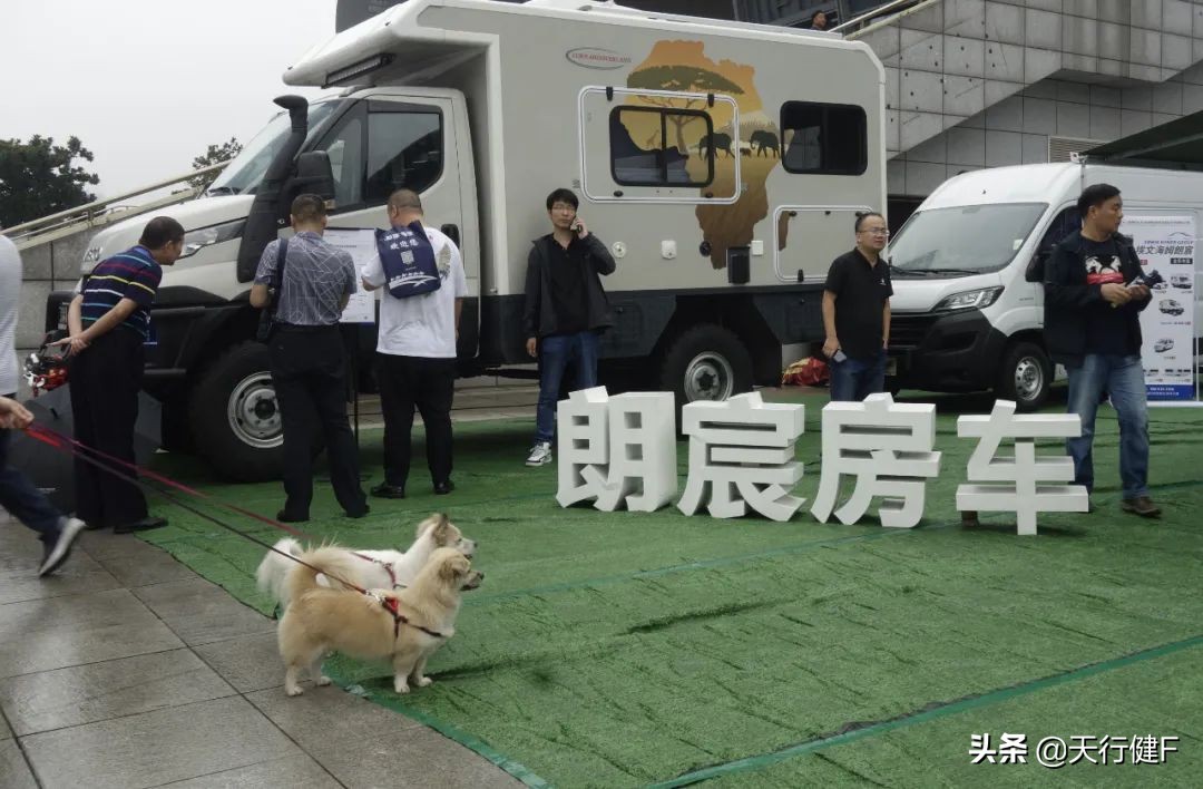 汽车投稿作品欣赏,汽车征文获奖