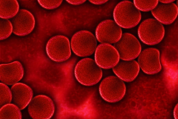 乔布斯患癌真实经历,乔布斯患癌后活了几年