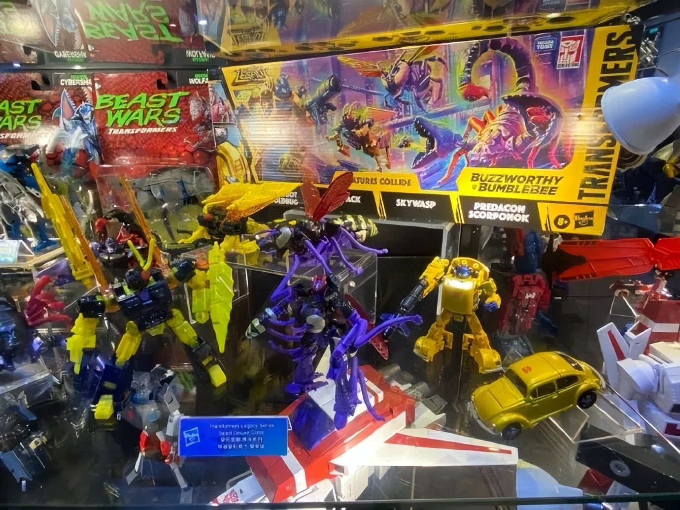 赛星小报社——本周最新的TF资讯整理