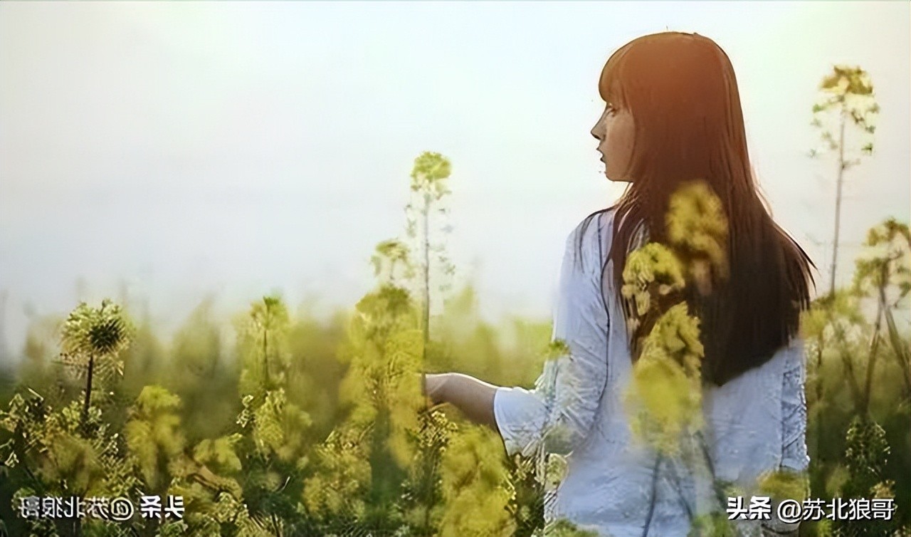 孽缘33免费观看全集,孽缘第30集最后判决