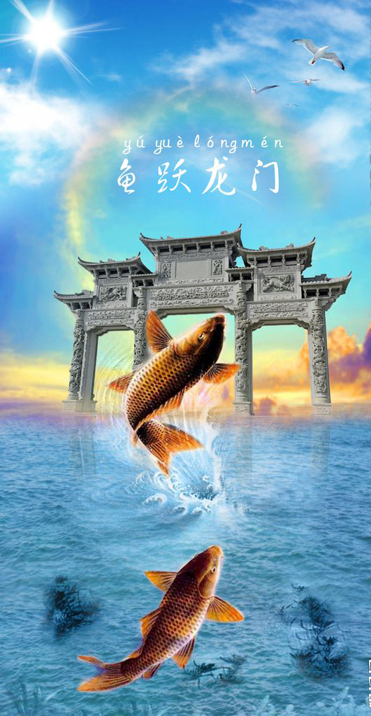 池塘里的锦鲤太多了怎么办,池塘里面的鱼为什么会死掉