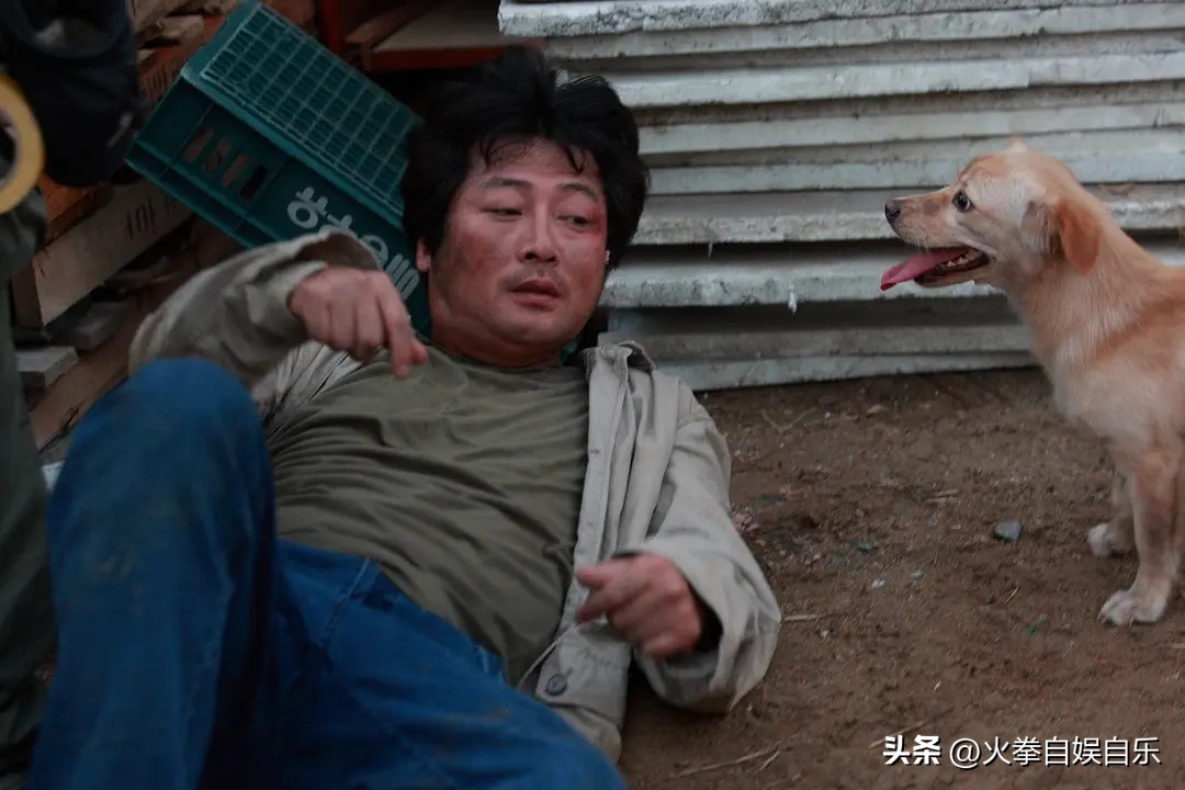 2021好看的韩国犯罪电视剧推荐,韩国犯罪悬疑电视剧排行榜前十名