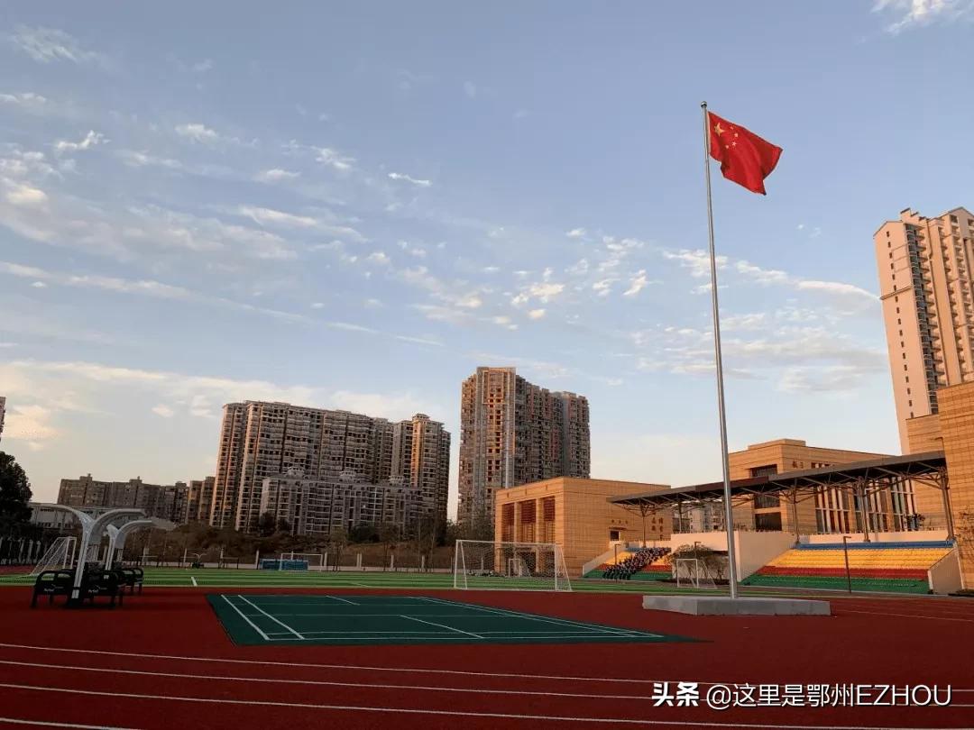 太给力了!鄂州这个区亮出5年成绩单