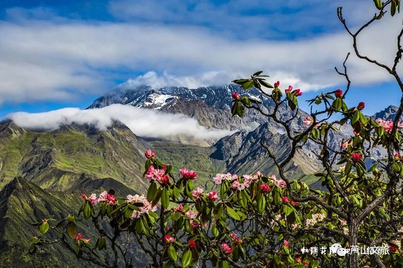 芦山县大川镇夏天避暑凉快吗,暑假避暑旅游最佳选择川内