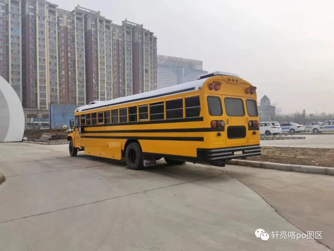 美国校巴真的好么