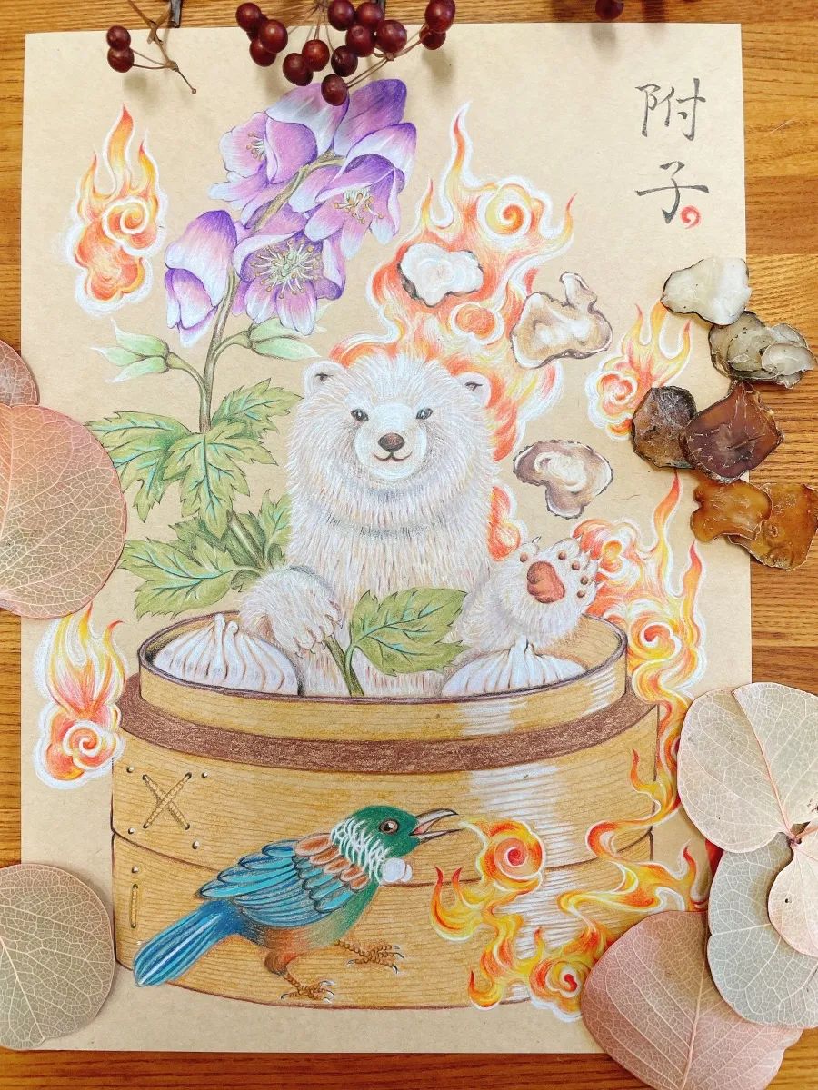 关于中医的插画 (好看的中医药文化插画)