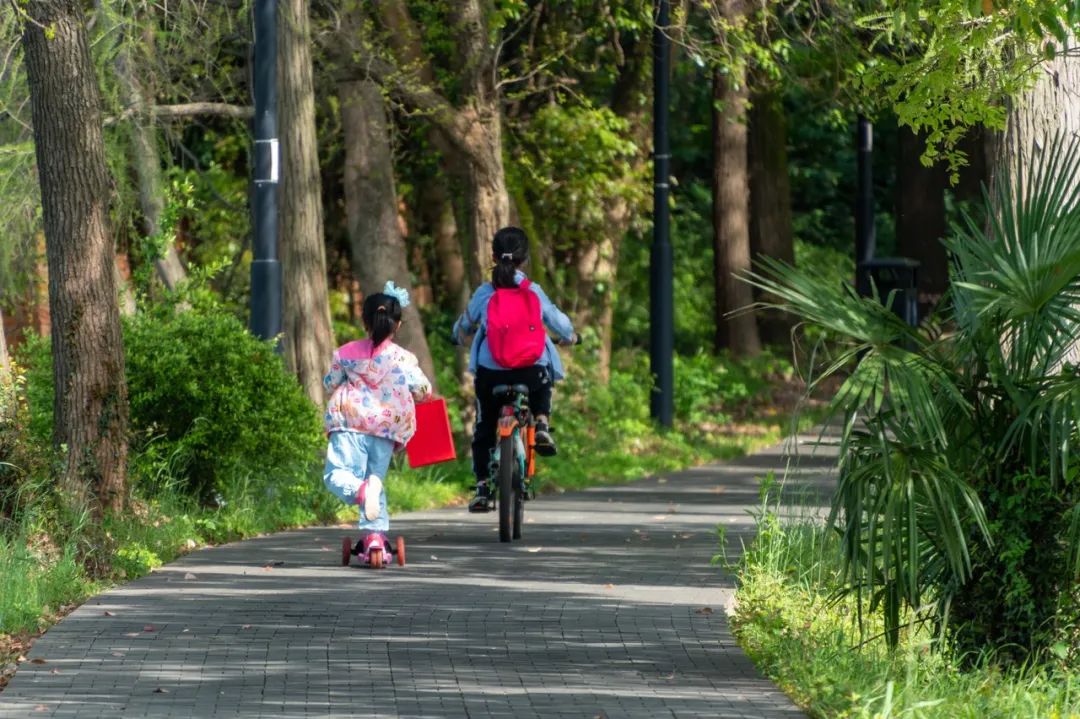 骑车姿势不对会造成什么,正确骑车的姿势