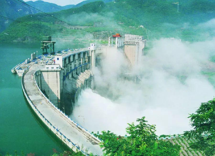 吃它就如吃一套房，鲟鱼子酱为何是黑色黄金？中华鲟已濒临灭绝！