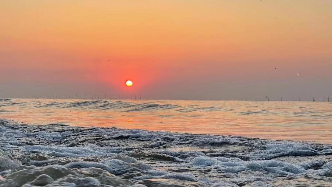 带你们体验摘杨梅的乐趣,酸酸甜甜的杨梅有谁陪我一起采摘