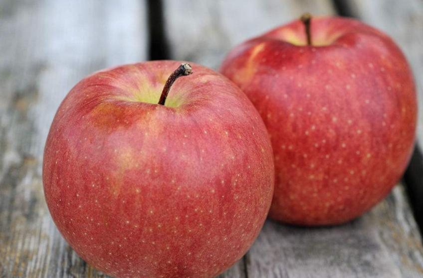 肚子饿吃苹果会伤胃吗为什么呢,每天晚上睡觉前吃苹果会不会伤胃