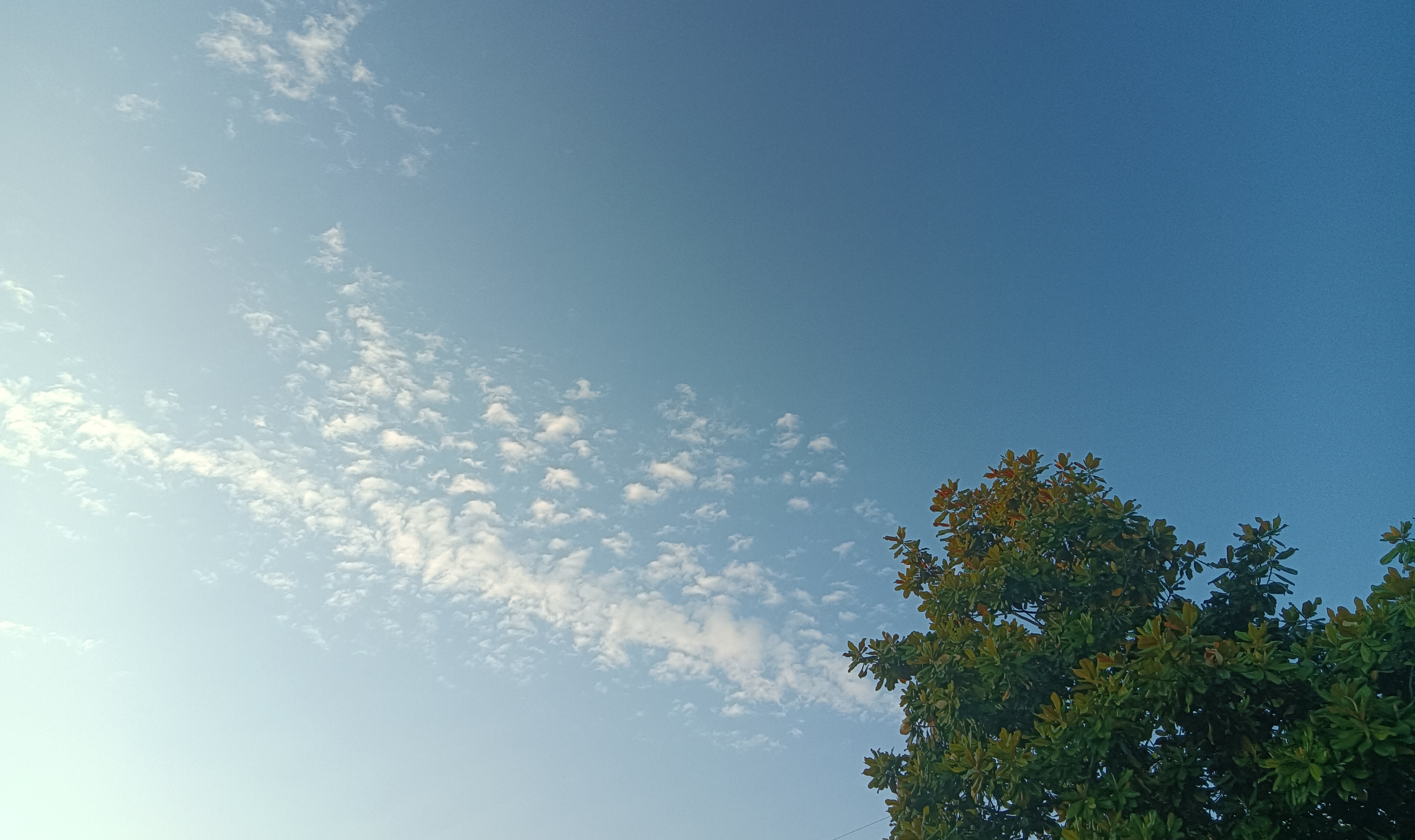 基层公务员平均年收入,现在的基层公务员的收入