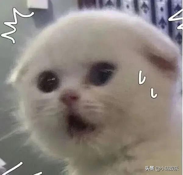 乔欣徐正溪嫣语赋首播好评,乔欣徐正溪茶艺夫妇