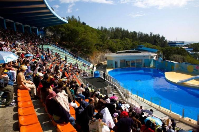 香港自驾游一日游攻略,香港亲子自由行3日游攻略