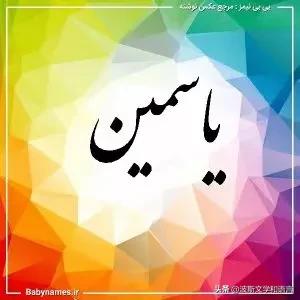 茉莉jasmine的英语,英语茉莉单词的发音