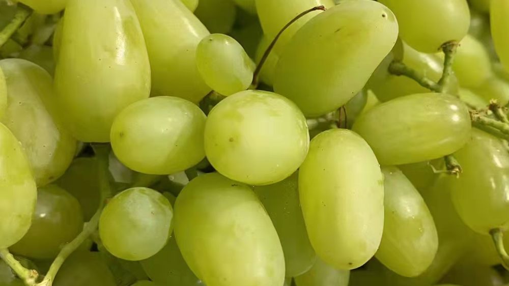 现在大型水果店的前景如何,水果店的前景与优势