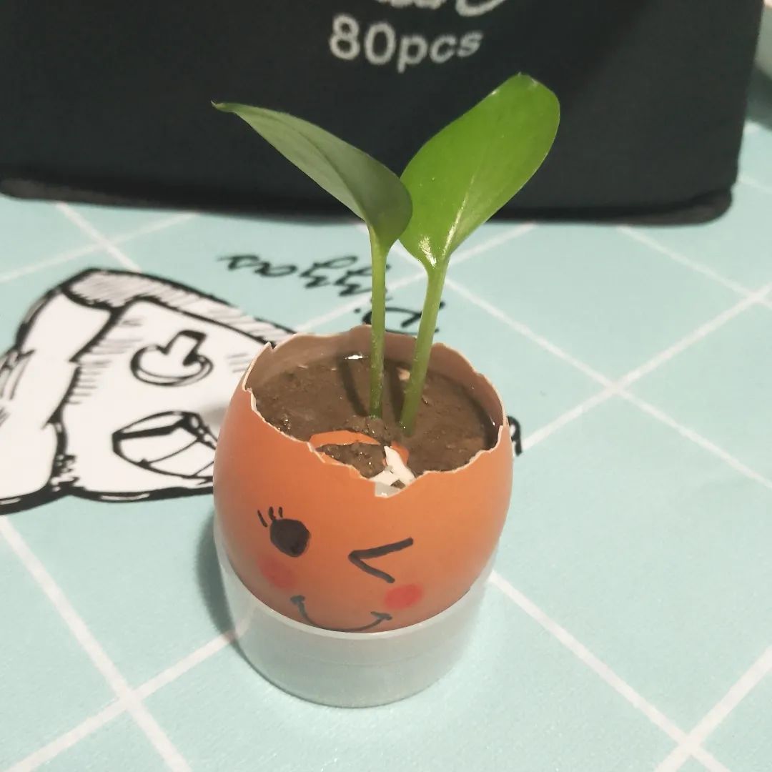 缅怀追思品味清明—无锡市新吴区江溪小学