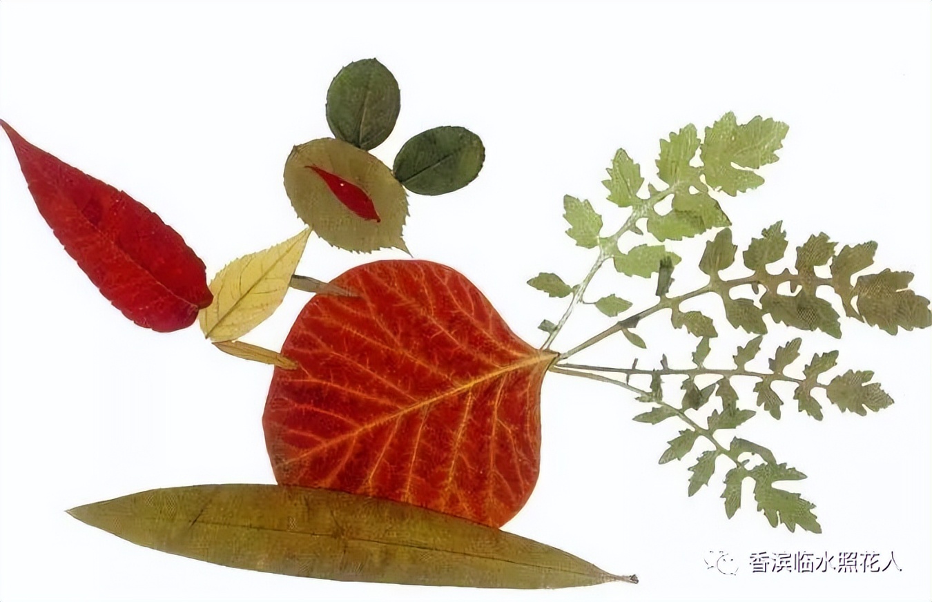 童话故事创编舞蹈2分钟,四年级创编童话故事龟兔赛跑