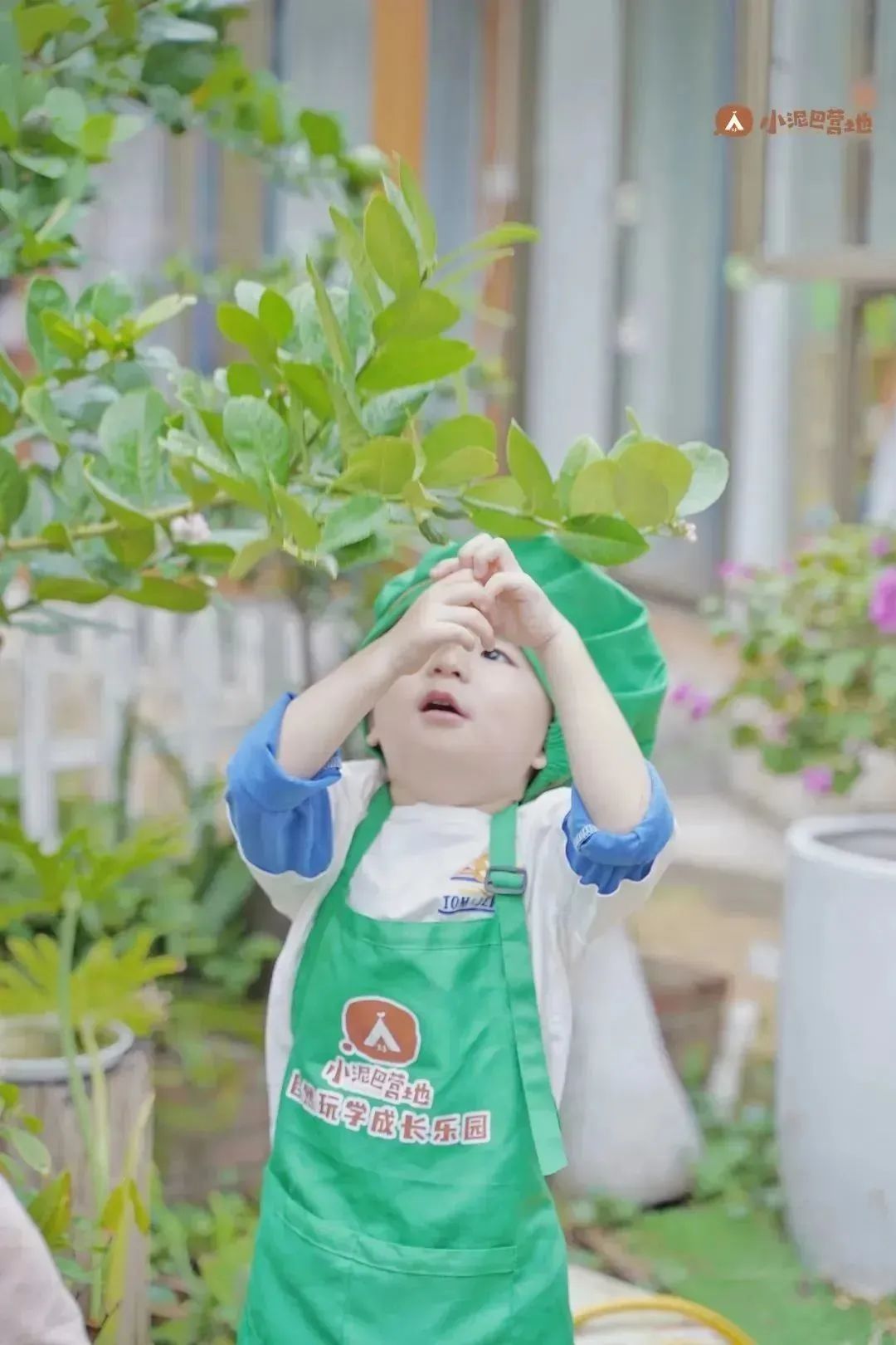 小宝宝一般几岁上幼托班好,孩子上托班给家长一点轻松的时光