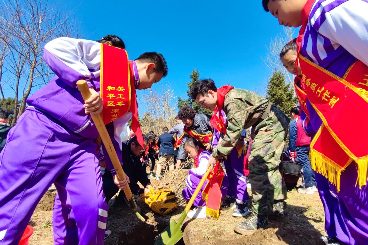 开展植树活动,植树节村组织植树活动