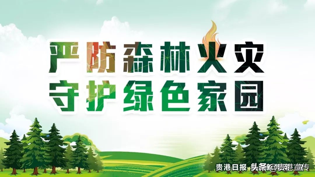 为什么要过所有节日,为什么要过这个节