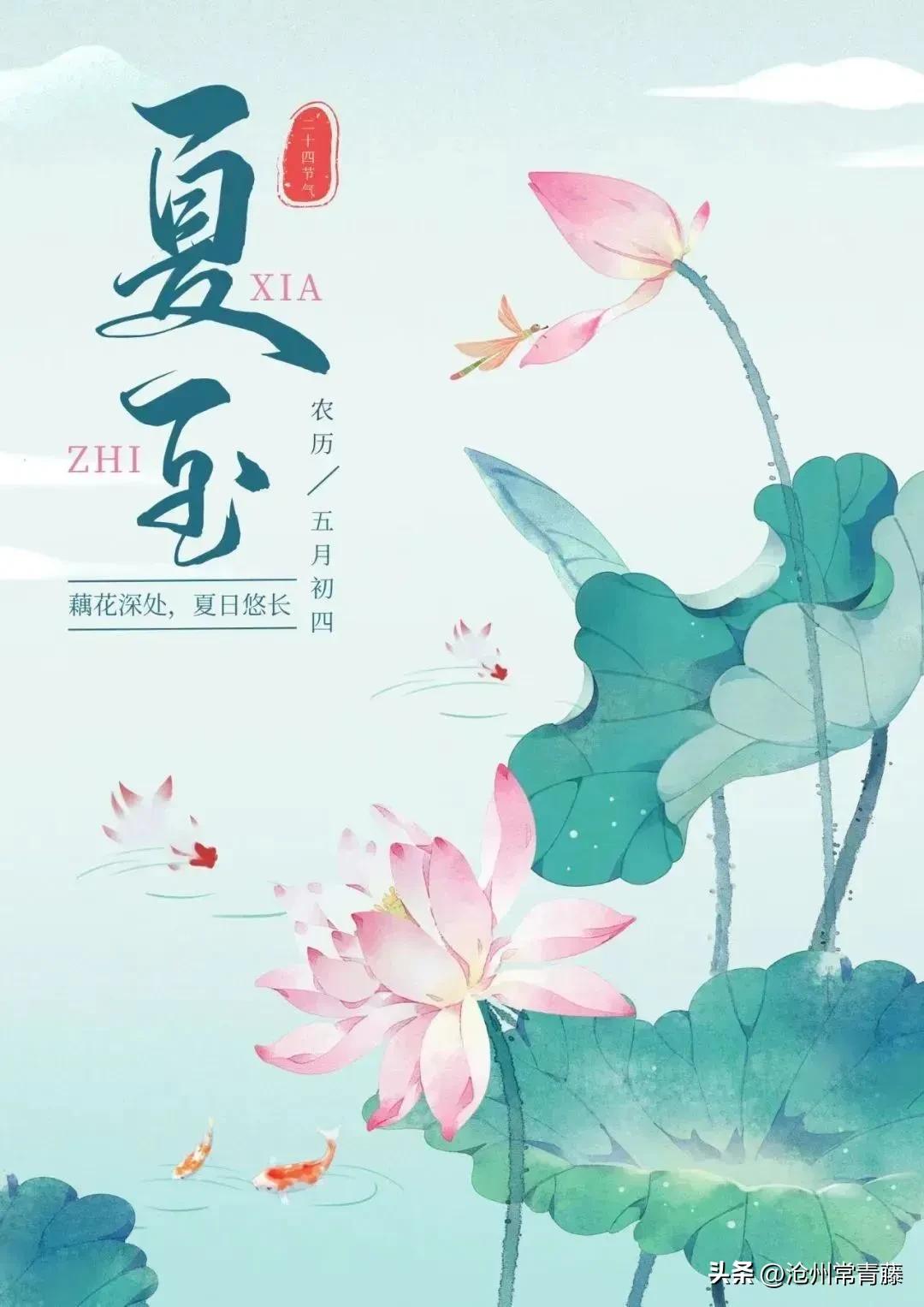 夏至节气感慨,今日夏至话题