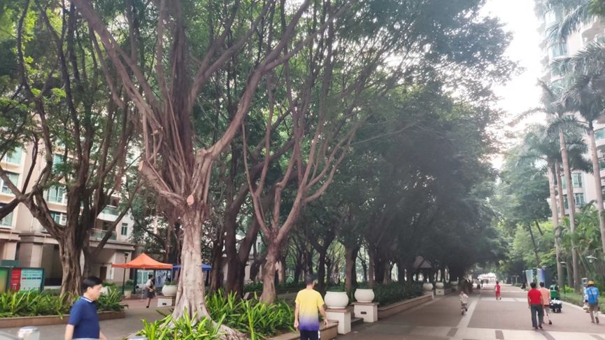 广州市海珠区逸景翠园成交价,广州市海珠区逸景翠园