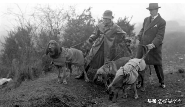 推理女王阿加莎妻子出轨,推理小说家阿加莎