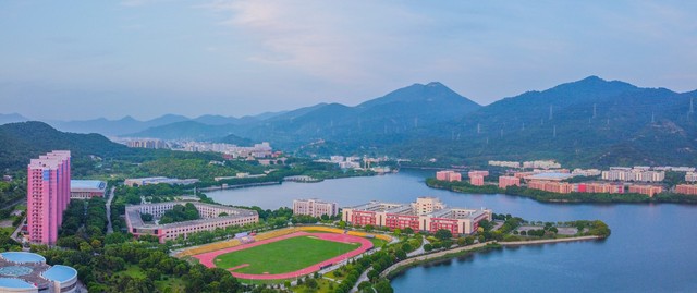 泉州成为宋元贸易中心的原因,泉州在宋代为什么这么繁华