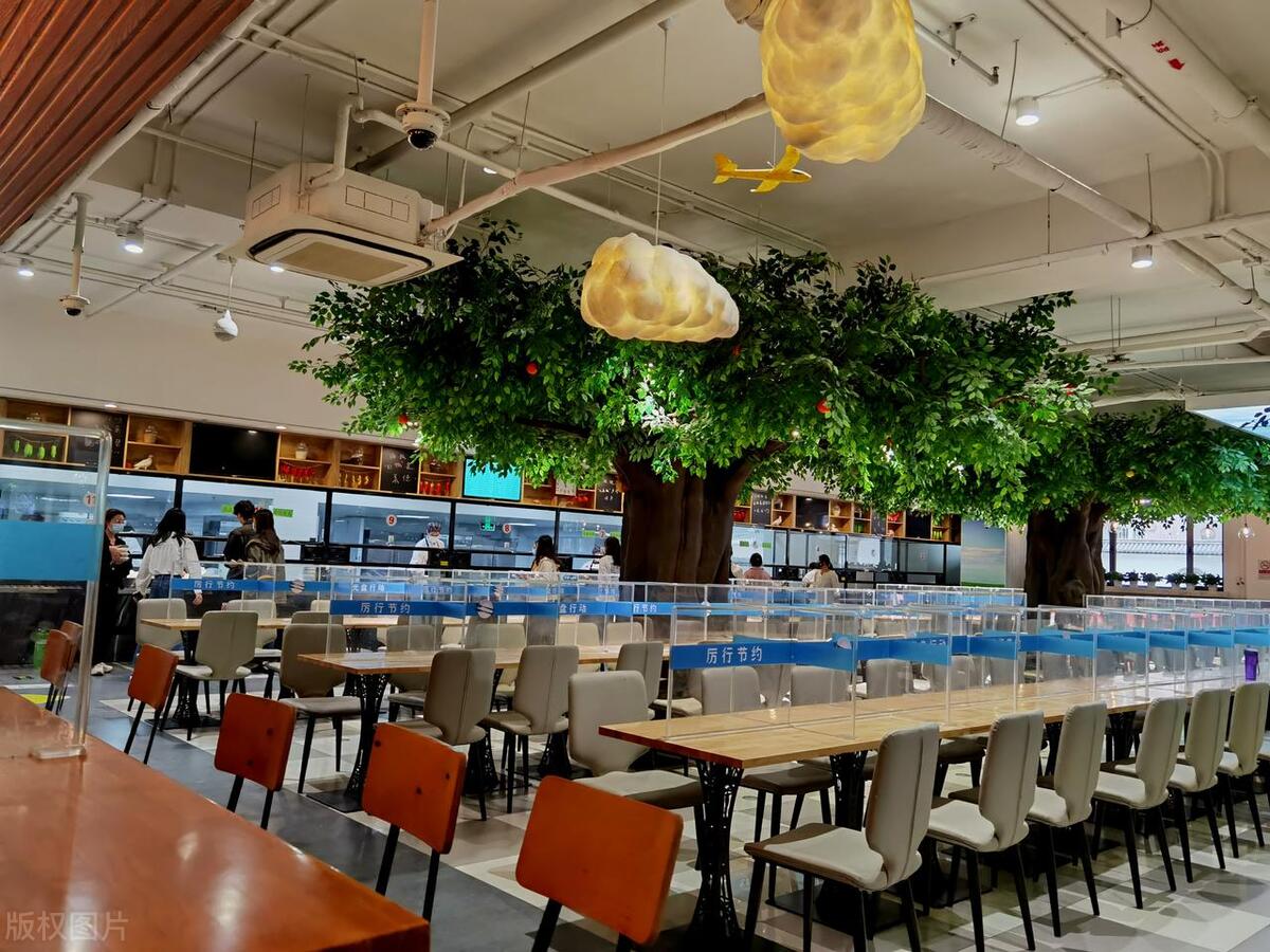 中国音乐学院双选,北京中国音乐学院教室资质难考吗