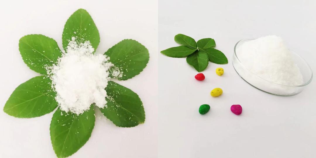 熊猫乳业,熊猫乳业集团