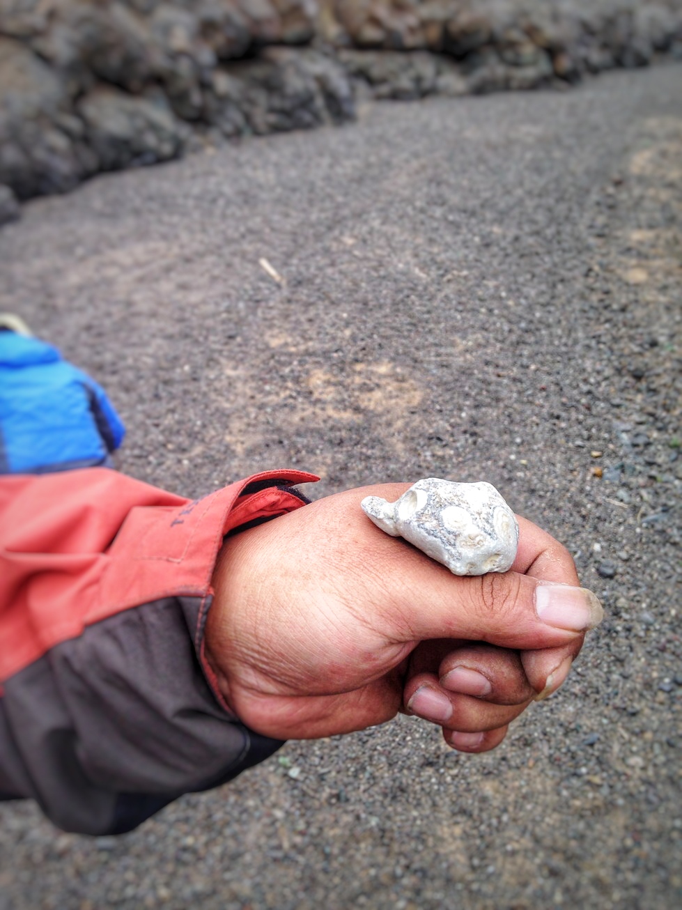 阿拉善遍地玛瑙石,阿拉善玛瑙原石大量出售
