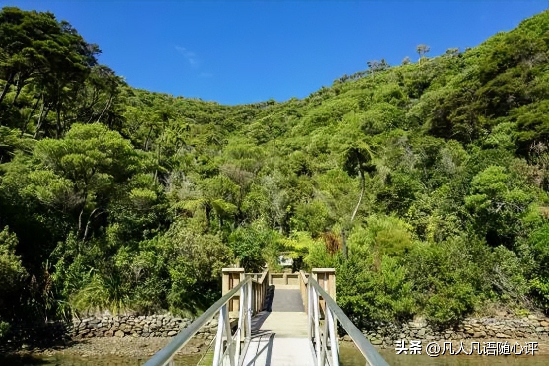 12日闺蜜游|和她一起遇见最美的新西兰