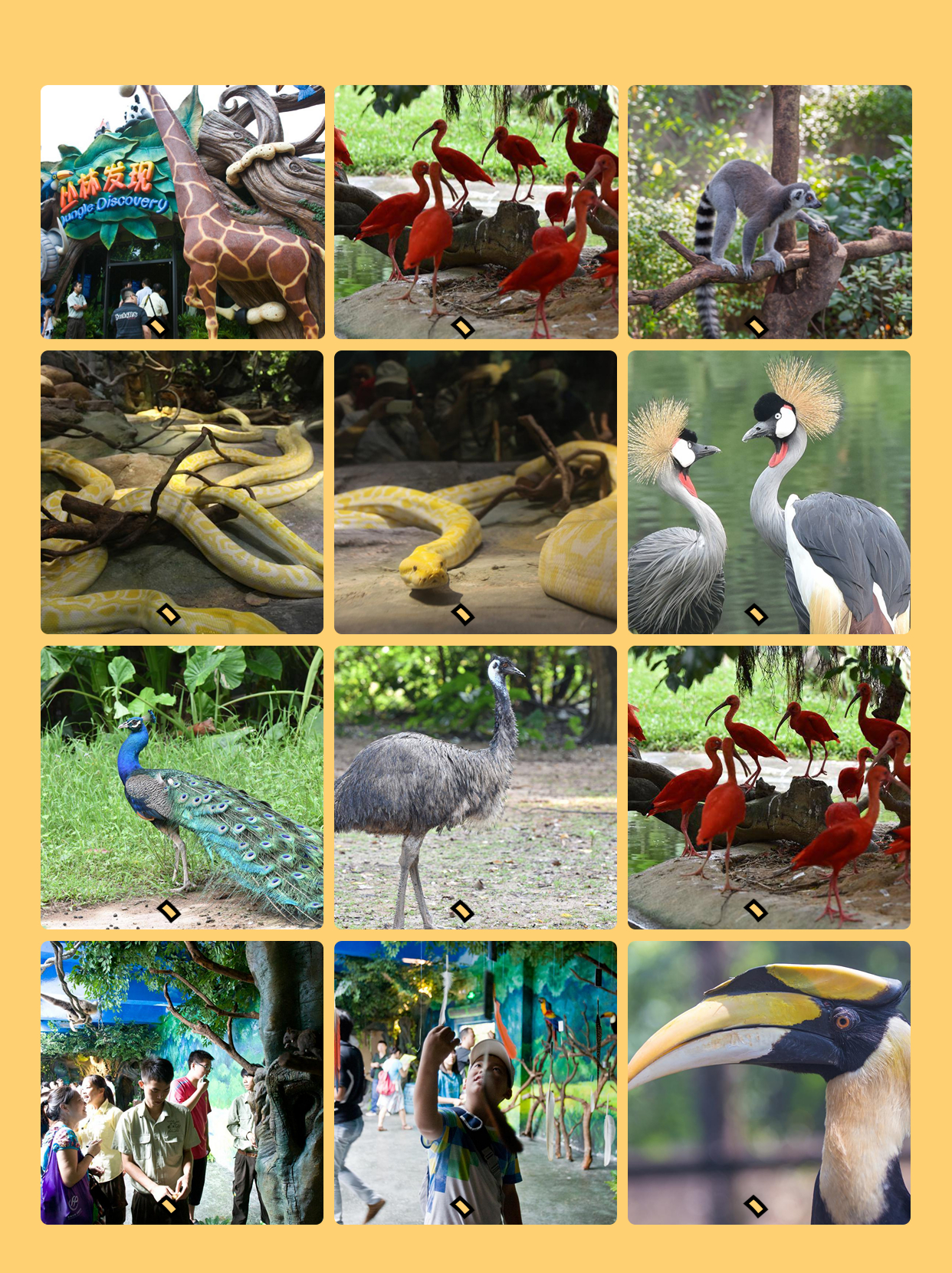 广州长隆野生动物园附近行李寄存,长隆野生动物园行李可以寄存的吗